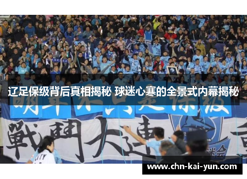 辽足保级背后真相揭秘 球迷心寒的全景式内幕揭秘