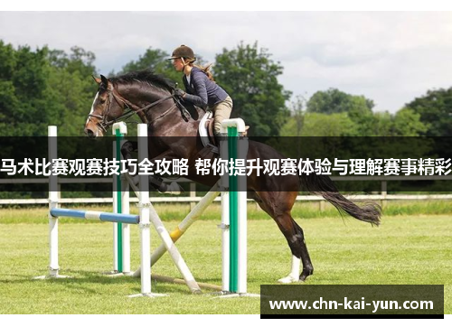 马术比赛观赛技巧全攻略 帮你提升观赛体验与理解赛事精彩
