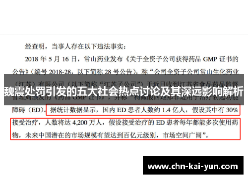 魏震处罚引发的五大社会热点讨论及其深远影响解析
